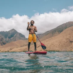 PAGAIE FANATIC CARBON 80 FIXE -Équipement De Surf Soldes 2023 f3 03 12 2019 10 04 18