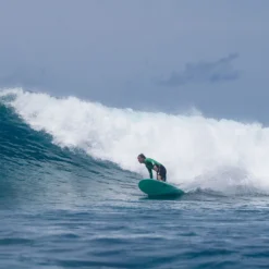 SURF LONGBOARD TORQ 9.0 -Équipement De Surf Soldes 2023 longboard906 31 12 2018 12 00 00