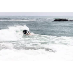 SURF LIB TECH PICKUP STICK